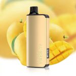 Alibarbar Ingot 9000 Puffs - Mango Magic