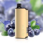 Alibarbar Ingot 9000 Puffs - Blueberry Blast